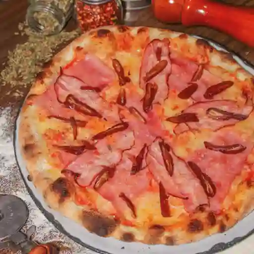 Datteri