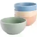 Bowl Cereal Tia Colores Surtidos Gibson 76589.04ps