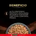 Comida para gato Purina Pro Plan Veterinary Diets OM Obesidad x 1,5 kg