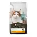 Comida para Gatos Reductor de Alergenos Purina Pro Plan Live Clear x 3 kg