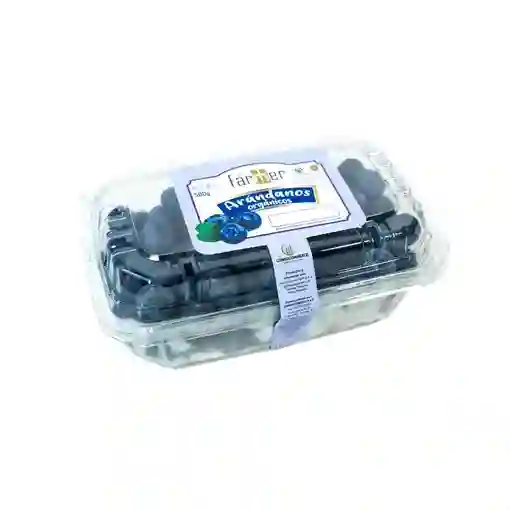 Arandanos Organicos - The Farmer