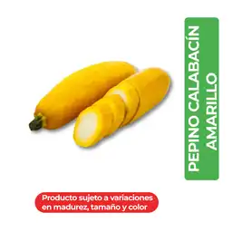 Pepino Calabacin Amarillo