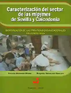 Caracterización Del Sector de Las Mipymes de Sevilla - VV.AA