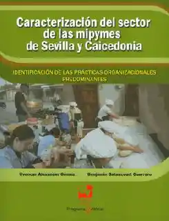Caracterización Del Sector de Las Mipymes de Sevilla - VV.AA
