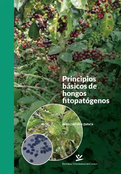 Principios Básicos de Hongos Fitopatógenos