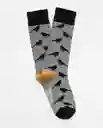 Medias Bird Negro Sombrío Ultraoscuro Talla 10-12 Chevignon