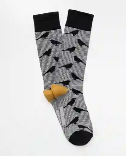 Medias Bird Negro Sombrío Ultraoscuro Talla 10-12 Chevignon