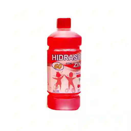 Hidrasol 60 Suero Oral Zinc Sabor Cereza