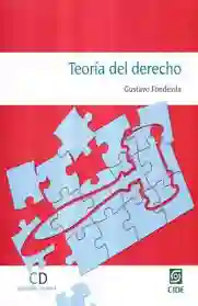 Teoría Del Derecho - Gustavo Fondevila