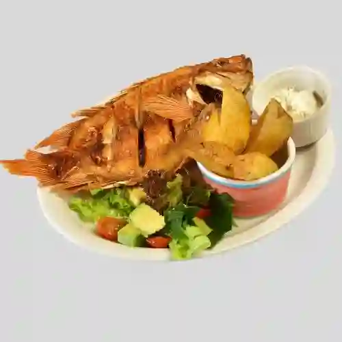 Mojarra Frita