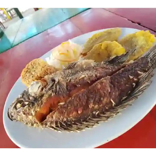 Mojarra Negra