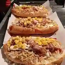 Perro Especial