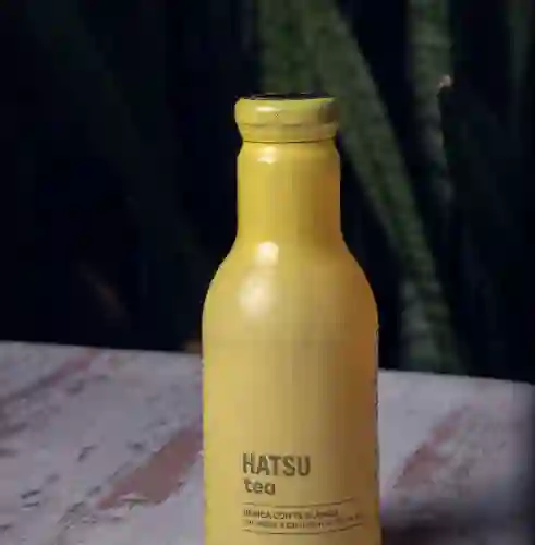 Té Frio Hatsu