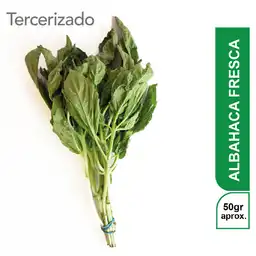 Albahaca Fresca Turbo