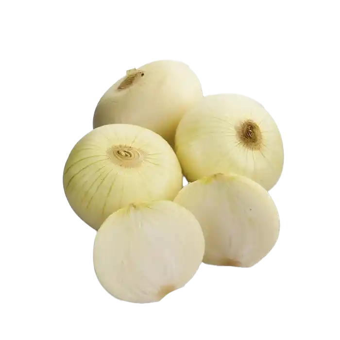 Cebolla De Huevo Blanca