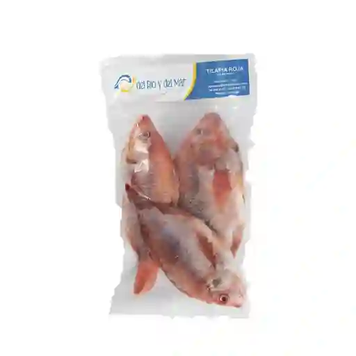 Del Río Tilapia Roja Sin Escamas