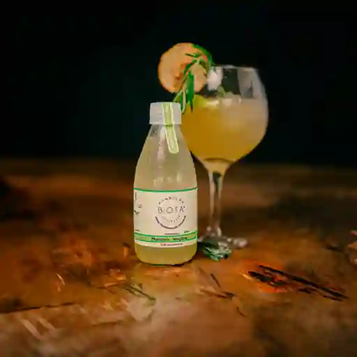 Kombucha Biota Manzana Jengibre 280 ml