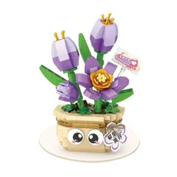 Planta de Interior Tulipán Serie Miniso
