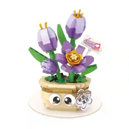 Planta de Interior Tulipán Serie Miniso