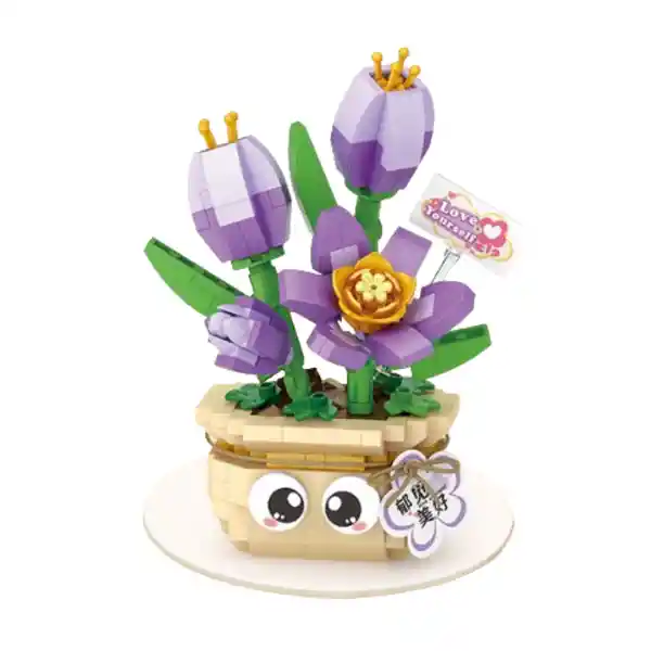 Planta de Interior Tulipán Serie Miniso