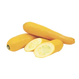 Colsubsidio Zucchini Amarillo Ext