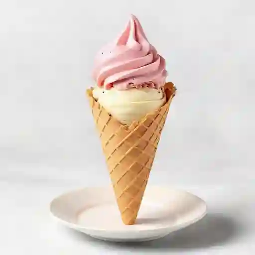 Cono con 2 Bolas Gourmet