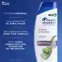 Shampoo Head Shoulders Dermo Sensitive Extractos de Sabila / Aloe Control Caspa 375 ml + Shampoo Head Shoulders Dermo Sensitive Extractos de Sabila / Aloe Control Caspa Champu Head and Shoulders 180 ml