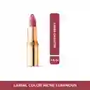 Labial L’Oréal Paris Colour Riche Luminous Blushing Berry 3.6 gr