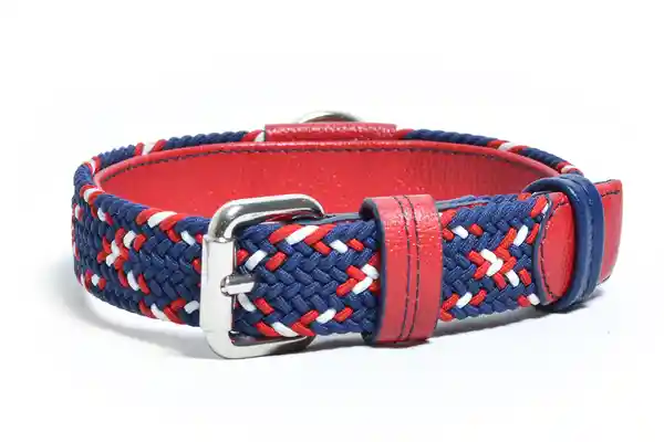 OBI Pets Splies Cloe 35 mm Tommy L