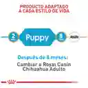 Royal Canin Alimento Para Perro Chihuahua Puppy