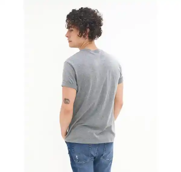 Camiseta Hombre Gris Talla Small American Eagle 01812824