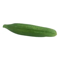 Pepino Sin Semilla