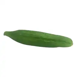 Pepino Sin Semilla