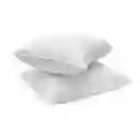 Members Selection Almohadas Home Collection