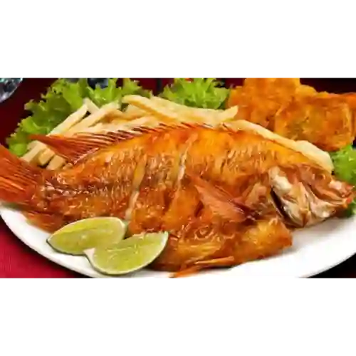 Mojarra Frita