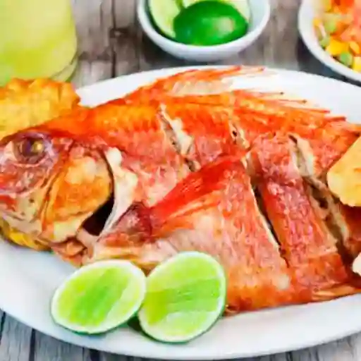 Mojarra Asada