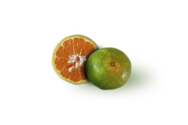 Exito Mandarina Onecco aprox. 190 g