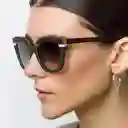 Tiwi Gafas de Sol Hale Diseño Español Carey