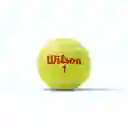 Wilson Set de Pelota de Tenis Tournament Orange