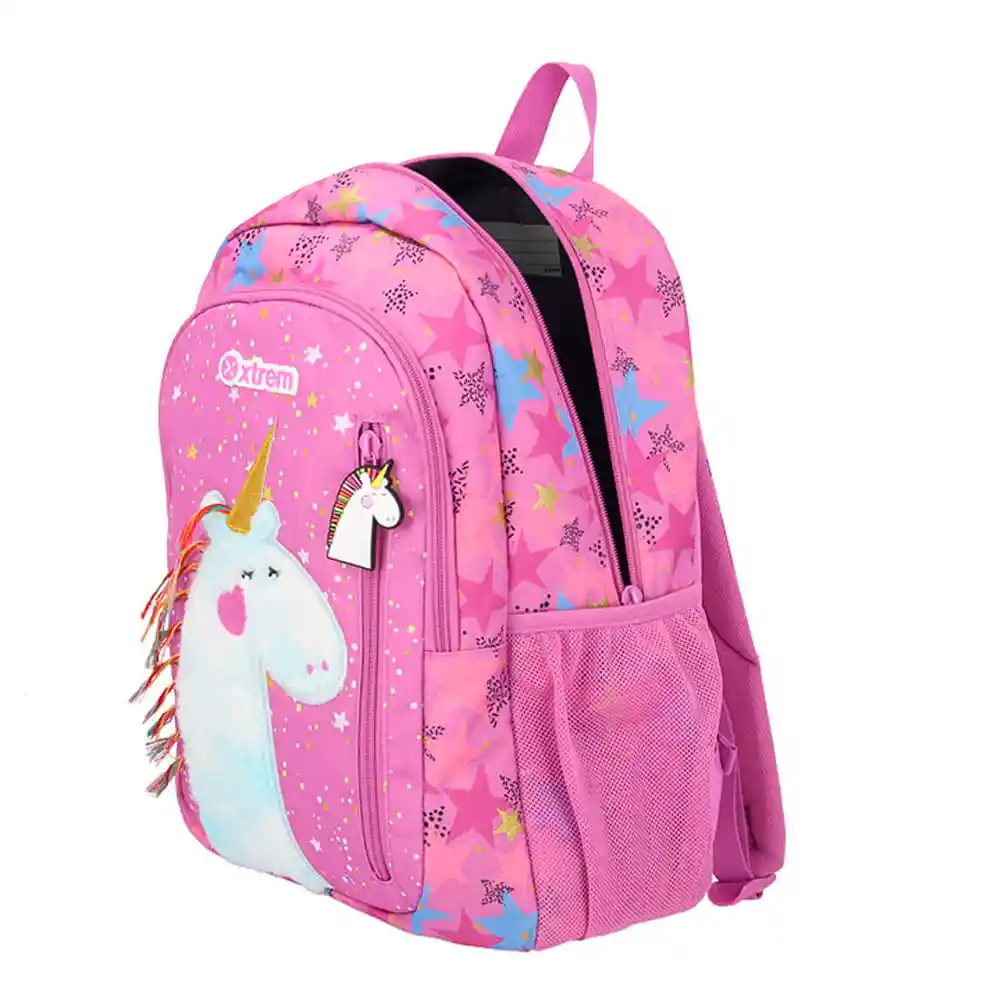 Xtrem Mochila Logan 312 School Purpl. Unic