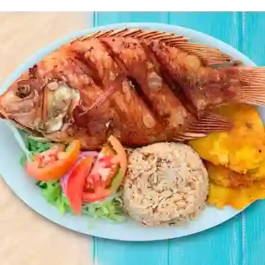 Mojarra Roja Entera