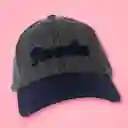 Gorra Serie Harry Potter Ravenclaw Miniso