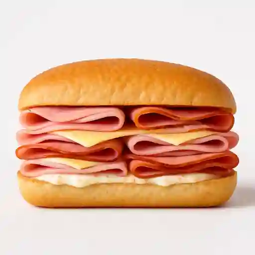Sandwich Especial