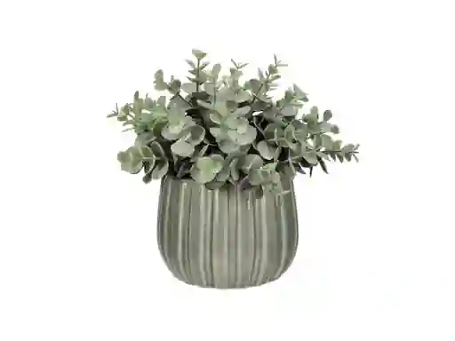Maceta Con Planta Cerámica Casaideas
