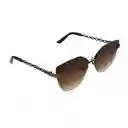 Gafas Para Mujer Color Marrón X17012 Steve Madden