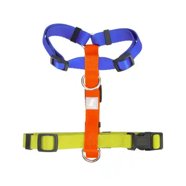 Arnés H Color Ts Diseño 0002 Casaideas