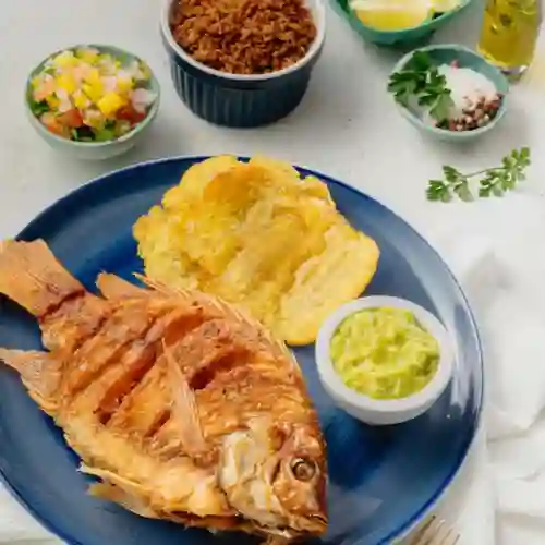 Mojarra Inca