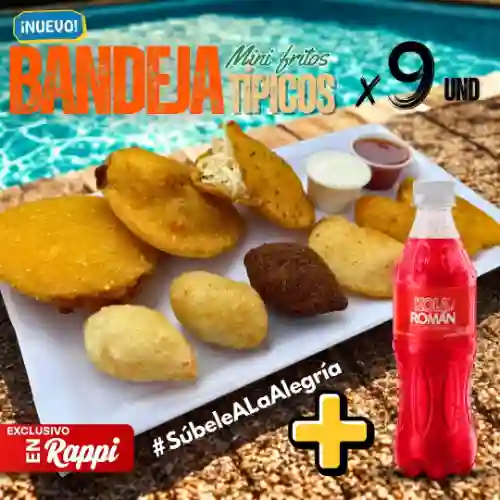 9 Mini Fritos Típicos + 1 Kola Román