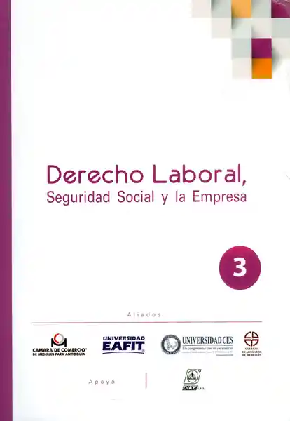 Derecho Laboral Seguridad Social y la Empresa N°. 3