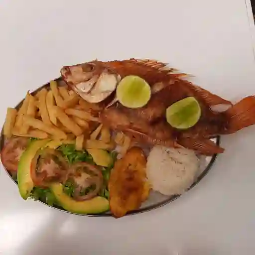 Mojarra